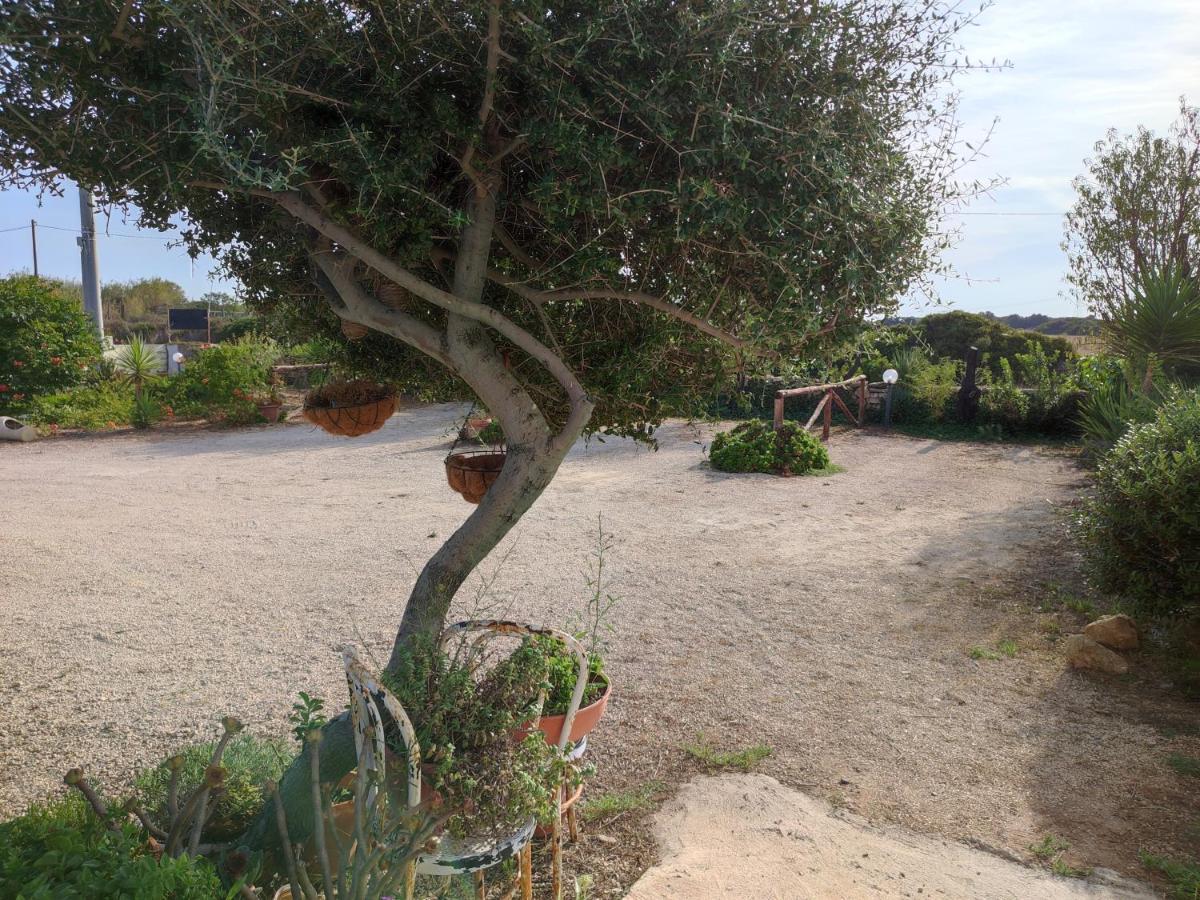Casa Eroma Bed & Breakfast Cuili Issi Exterior photo
